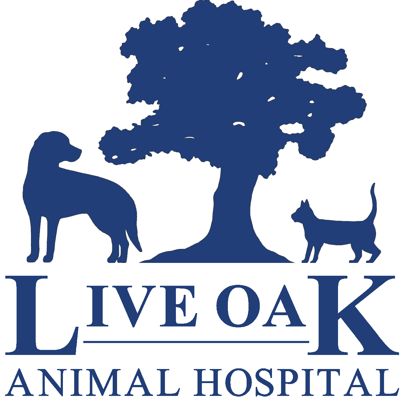Live Oak Animal Hospital - Vero Beach Veterinarians